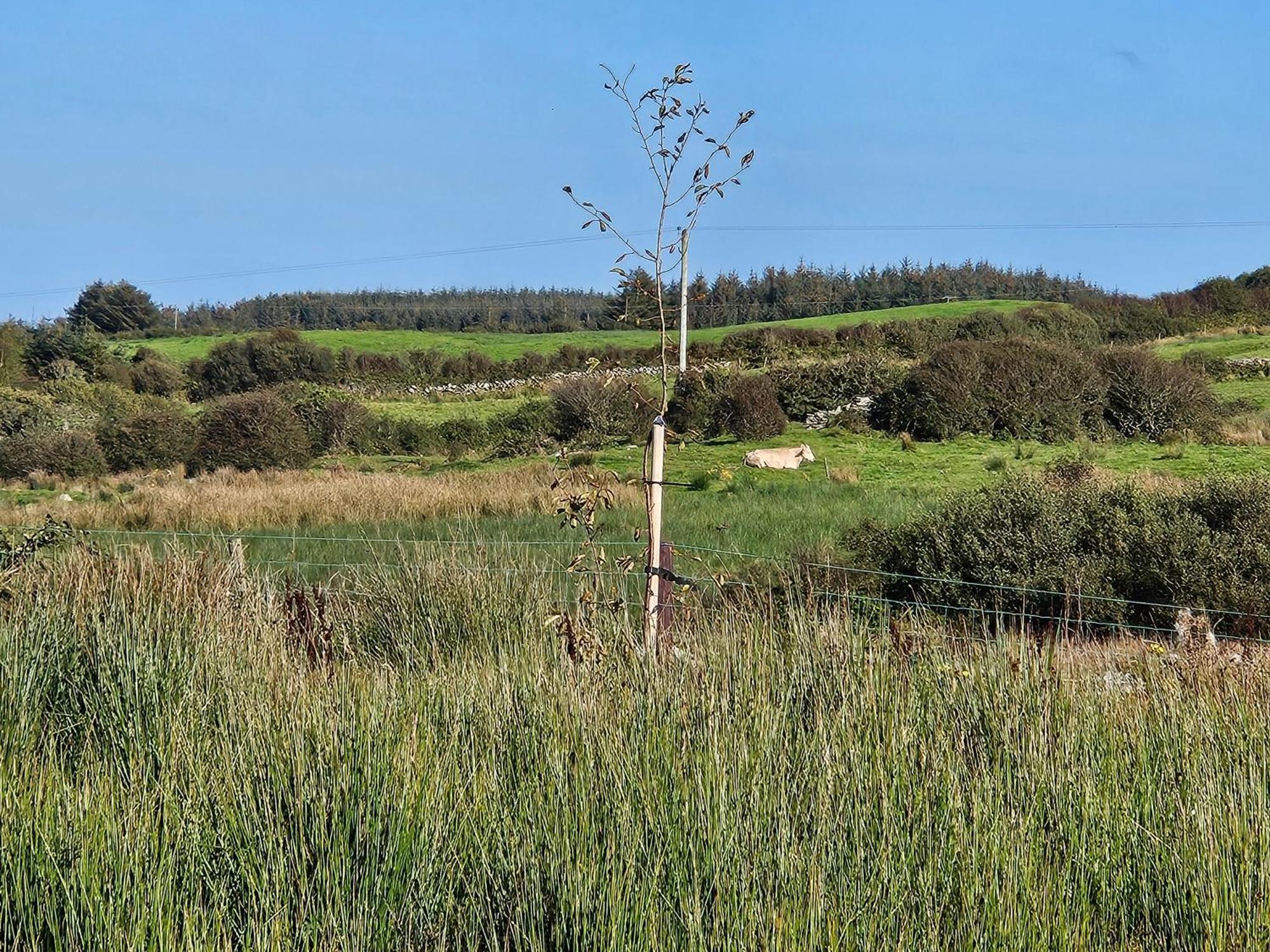 Suaimhneas Guest House Lahinch Bagian luar foto
